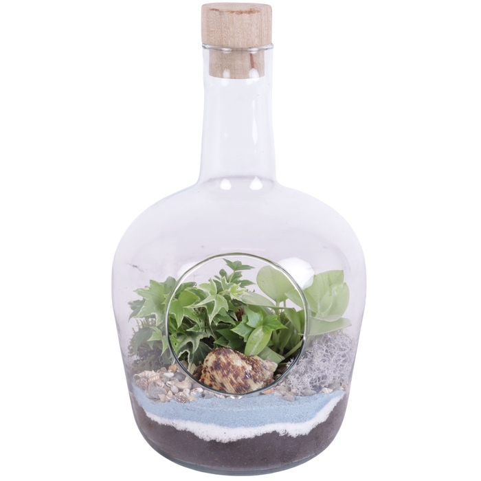 <h4>Opm Maritime Arr. Indoor Glass Vase With Hole</h4>
