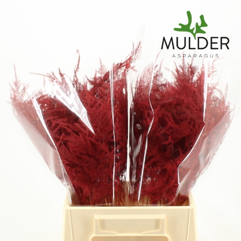 <h4>Asp Klb H% 1e Veren Red</h4>