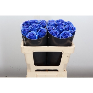 R Ov Wx 50cm Blauw