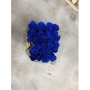 Painted Mondial Blue