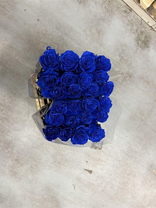 <h4>Painted Mondial Blue</h4>