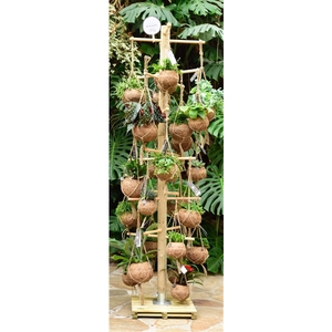 Kokodama Tree Large INCLUDING 48 best selling Kokodama's