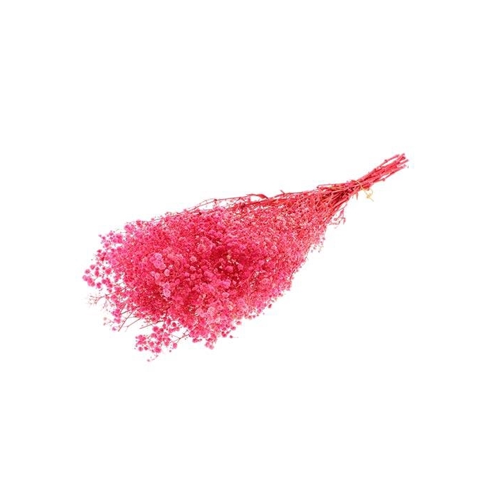 <h4>Bunch Gypsophila Pres.100gr L70</h4>