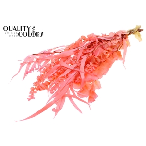 Eucalyptus Mix Preserved Bleached Pink