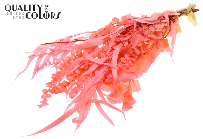 Eucalyptus Mix Preserved Bleached Pink