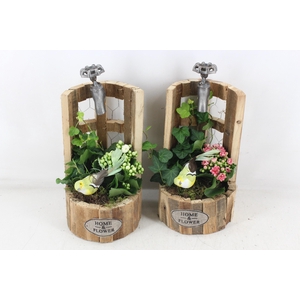 arr2 TD - Houten waterput - roze/wit
