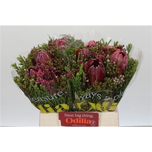 Protea Bq 3 Flowers