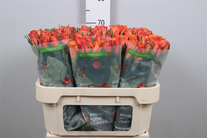 <h4>R Gr Confidential</h4>