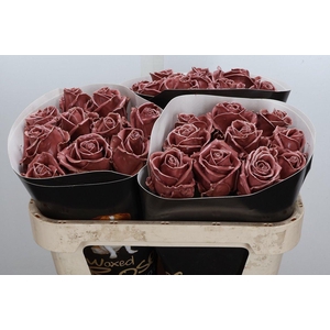 Wax-Rozen Wax Wit  Zilver glitter