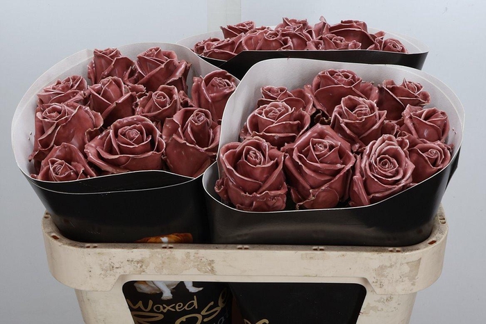 <h4>Wax-Rozen Wax Wit Zilver glitter</h4>