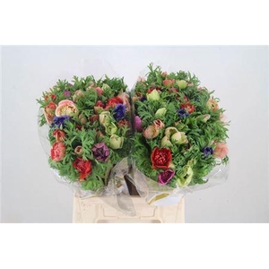 Anem Co Fullstar Gem