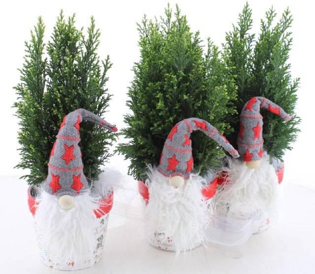 <h4>CHAM L ELLWOODII</h4>