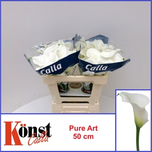 ZANT PURE ART