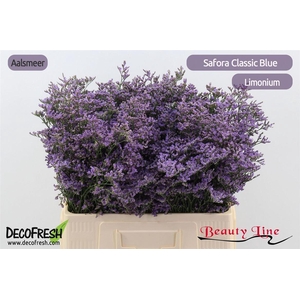 Lim Safora Classic Blue