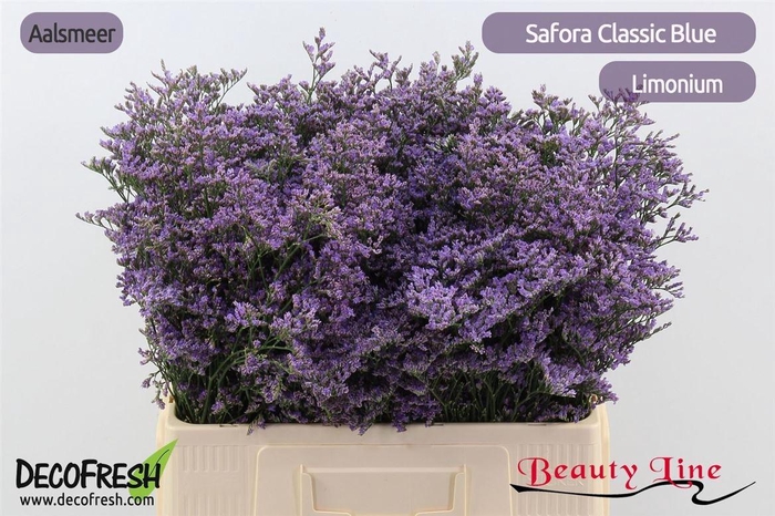 <h4>Lim Safora Classic Blue</h4>