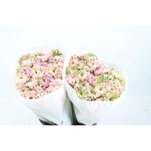 Ran Ponpon Ex Candy Pink