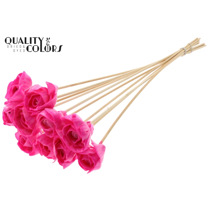 <h4>Shola Dear Holly 6cm on stem Wax Cerise</h4>