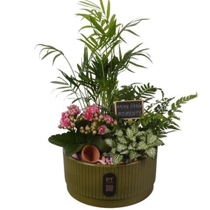 PTIB5125 Arrangement Indoor in keramiek schaal