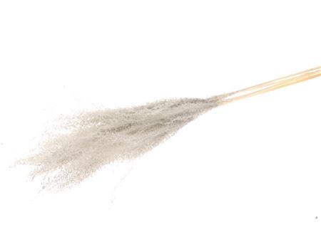 Bunch Grass  5 Pcs Slv L110