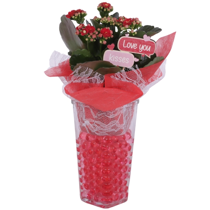 <h4>Valentine Arr. Glass Vase Square Ø09cm 1PP</h4>