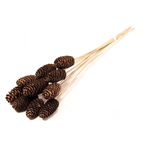 Rai Cone 10-14cm On Stem 10pc Natural