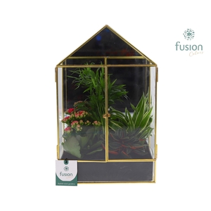 Geometrische plantenbak met arrangement