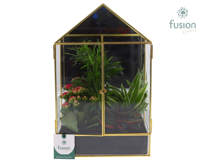 <h4>Geometrische plantenbak met arrangement</h4>