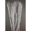 Betula paint rosegold