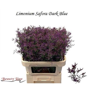 Lim Saf Dark Blue