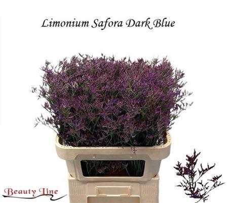 <h4>Lim Saf Dark Blue</h4>