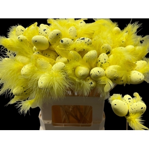 KIEVITSEI OP STOK H% GEEL VEER.