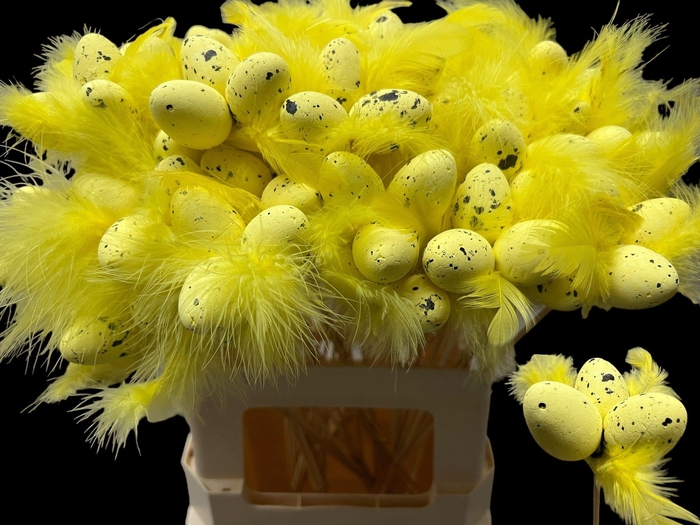 <h4>HUIS EN TUINDECO H%</h4>