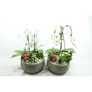 9661 PARAPLU CASCADE MIX KER GREEN