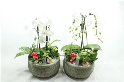 <h4>0321 KER GREEN PARAPLU</h4>