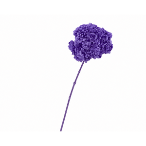 Dried Bleached Hydrangea Anna Purple