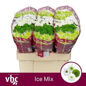 Chr San Mix Icemix Helvoort