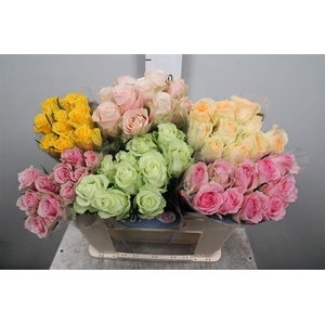 R Gr Gemengd In Fust