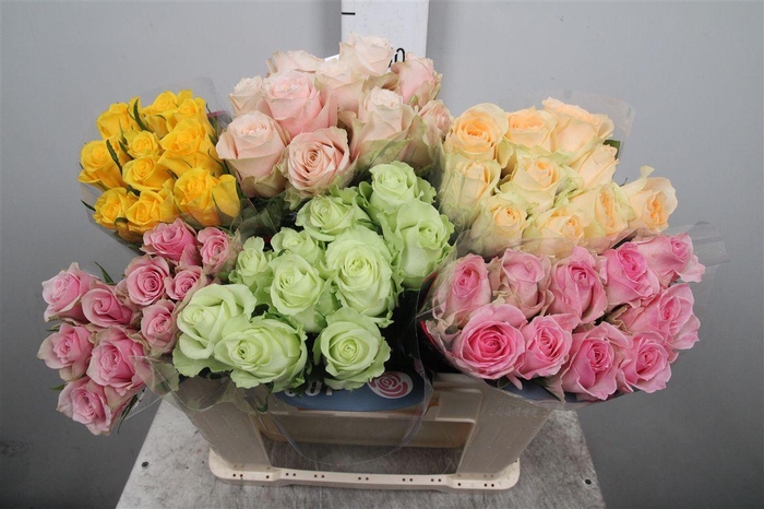 <h4>R Gr Gemengd In Fust</h4>