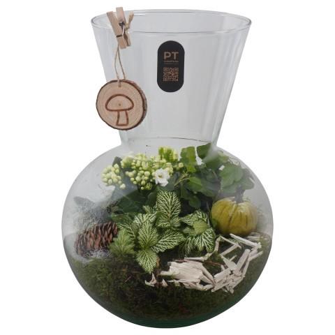 <h4>PTHG8250 Arrangement Autumn Glass in glazen vaas</h4>