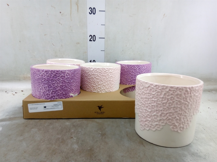 <h4>Pot   ...Keramische H%</h4>