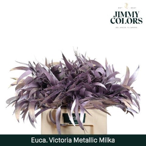 Victoriablad gekleurd Mtlc. Milka