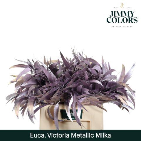 <h4>Victoriablad Gekleurd Mtlc. Milka</h4>