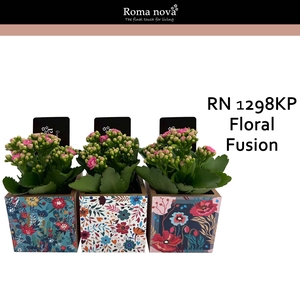 Kalan Rom 1298KP Floral Fusion