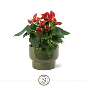 Athene Keramiek Green - Red