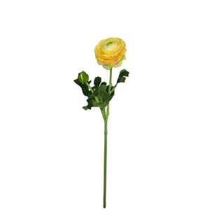 AF Ranunculus L51cm Yellow