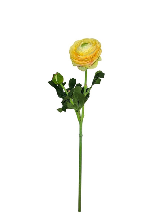 <h4>AF Ranunculus L51cm Yellow</h4>