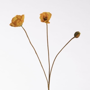 Af Poppy X3 L76cm Yellow