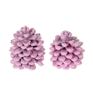 Pinecone Pinea Wax Sugared 2 Pcs Slv L19W12H14