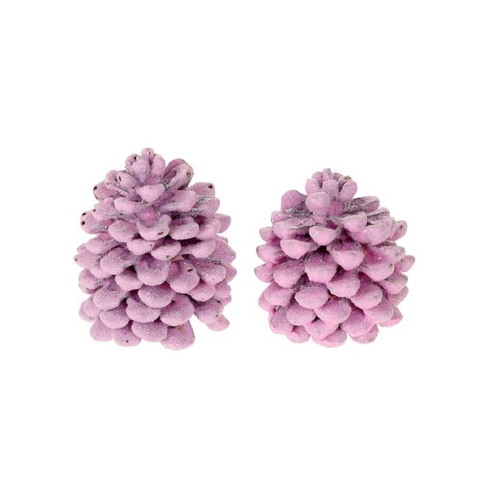 <h4>Pinecone Pinea Wax Sugared 2 Pcs Slv L19W12H14</h4>