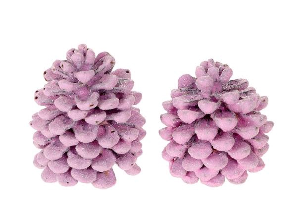 Pinecone Pinea Wax Sugared 2 Pcs Slv L19W12H14